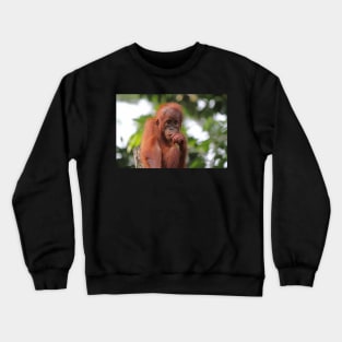 Deep In Thought Crewneck Sweatshirt